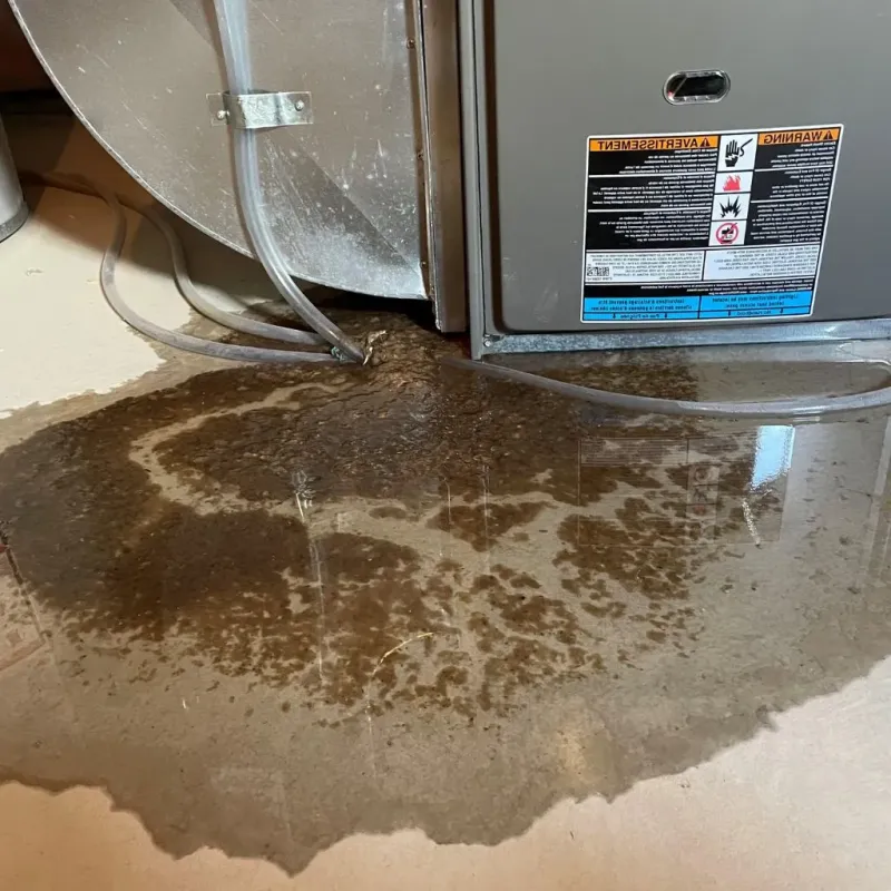 Pipe Burst and Leak Restoration in Millington, TN