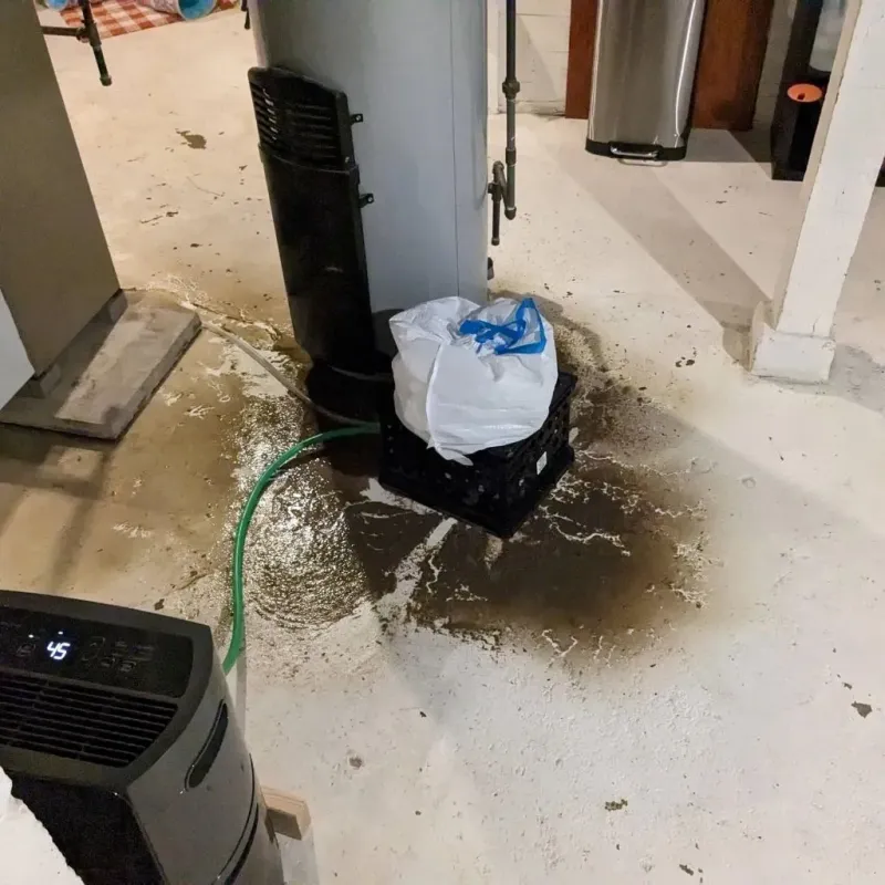 Sewage Backup Cleanup Service in Millington, TN